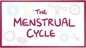 What you need to know about menstruation