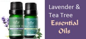 Does Tea Tree and Lavender Oil provide imbalance in estrogen and androgen