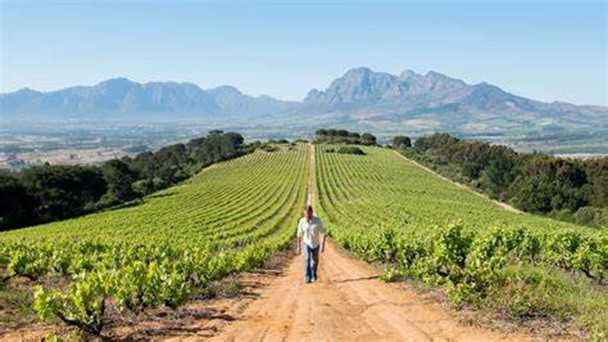 10 Best Places To Visit In South Africa - Cape winelands