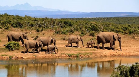 10 Best Places To Visit In South Africa - kruger national park