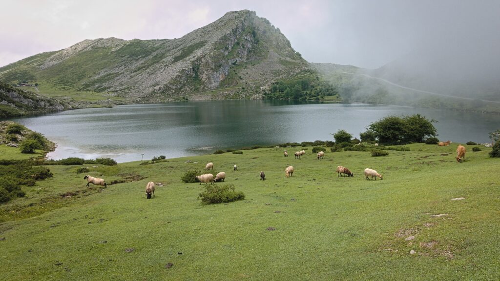 Lagos-De-Covadonga-In-Asturias-Beautiful-Lake