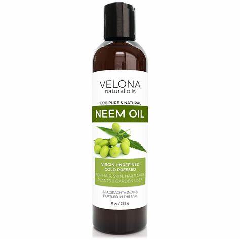 Neem-Oil-Best-Carrier-Oil-For-Your-Skin