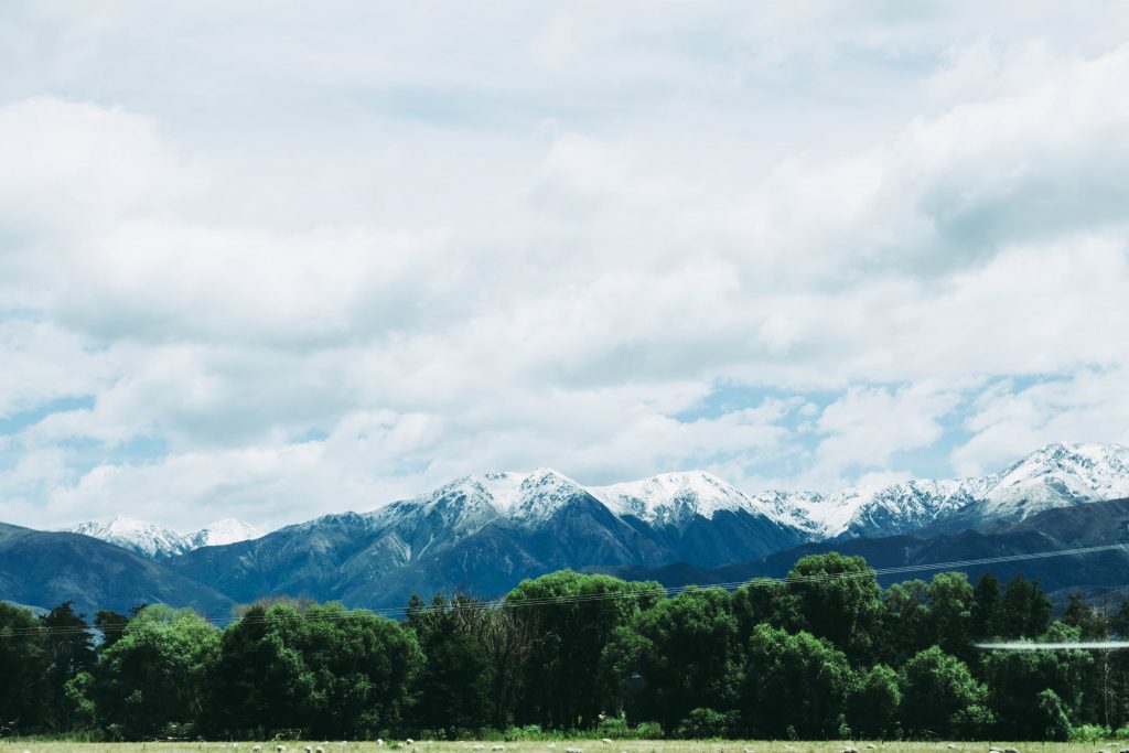 Kaikoura-Best-Citie-To-Visit-In-New-Zealand